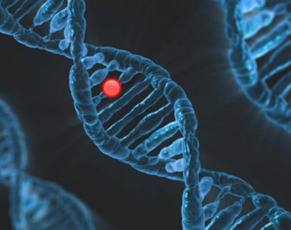 Computer render of a DNA double-helix with a red dot indicating a variation.